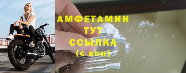 ГАЛЛЮЦИНОГЕННЫЕ ГРИБЫ Белокуриха